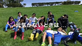 自然満点！菅平！