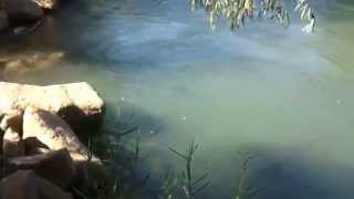 قرية الخصاص قضاء صفد شمال فلسطين 2014