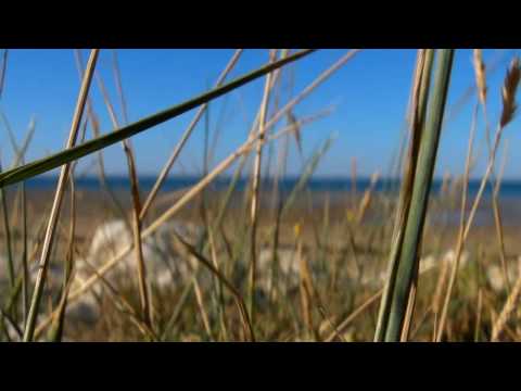 Hugo Guias - this is the first episode of a serie with 5 movies. it's hugo guias who ride at home in ile de re .. kitesurf ,surf and skate will be on each episode. www.hu...