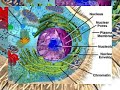 Ameoba Cell