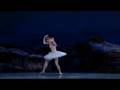 Odette's Dance - Swan Lake - Gillian Murphy
