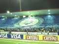 A TORCIDA MAIS FANÁTICA DO MUNDO A TORCIDA MAIS FANÁTICA DO MUNDO