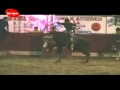 LOS TOROS CONSENTIDOS DE GANADERIAS UNIDAS DE AUTLAN