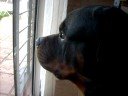 oshi pensando oshi pensando