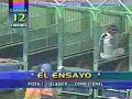 Veedor - Cl. El Ensayo 2002