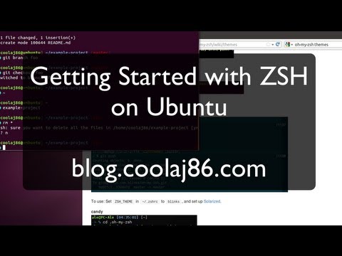 how to set zsh theme