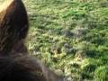videos de IMGP1557