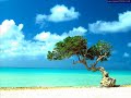 g�l gazeli