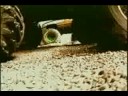 Monster Truck (audio commentary version)