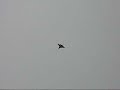 Su-27 EDF