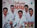 Vellezrit Mziu - Dashnia bixhoz 2008