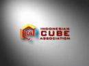 ica profile ica profile