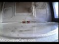 Plasma!! Video