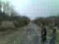 Rulers-of-Sariska-Jungle