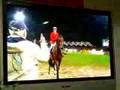 Meredith Michaels Beerbaum and McLain Ward