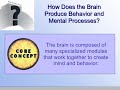 AP Psychology-Ch. 3. AP Psychology-Ch. 3.