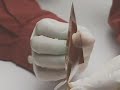 Il display che si fa flessibile - The flexible display