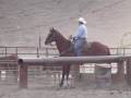 Hippie Roping