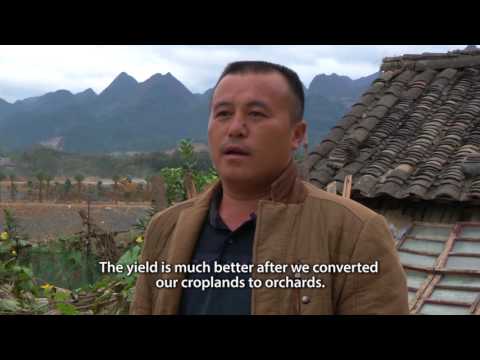 FLR China - Farmers Voices