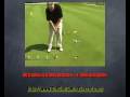 Free Driving and Putting Tips to Improve Your Golf Swing