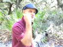 Segment 6  -- Lesson one -- CureDrive.org