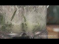 How-to make fresh herb vinaigrette How-to make fresh herb vinaigrette