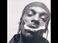 Snoop Dogg – Smoke Weed Everyday (Remix)