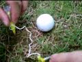 Pro V1-392 White Golf Ball Pro V1-392 White Golf Ball
