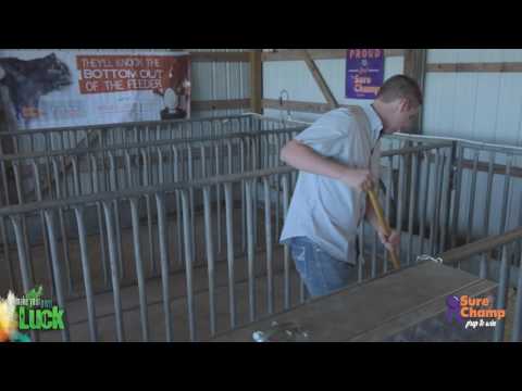 Watch Pig Pen Online Forbes Watch Pig Pen Online Forbes