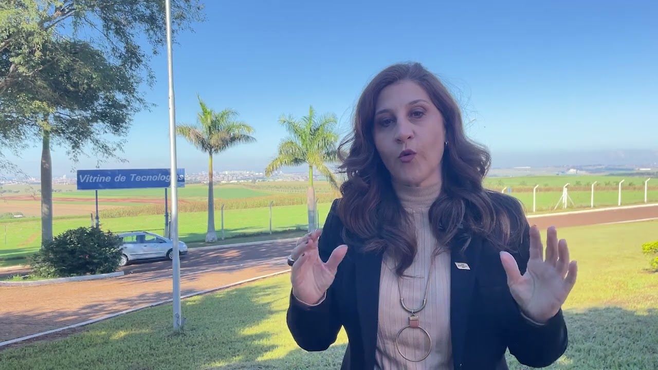 Dia do Meio Ambiente 2026