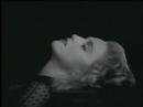 chasing madonnas car chasing madonnas car