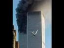 to late to apologize to late to apologize