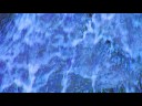 blue moon 