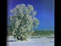 pppppppp ... èric bertran army phoenix harry potter order catalan catalonia eric exèrcit exercit fènix fenix 