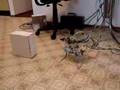 Fred Bot