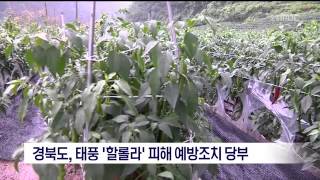 뉴스데스크