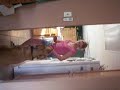 simonne