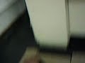 autopsia