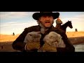 Cat Herders Cat Herders