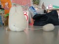 Totoro