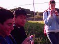 Vaquitas :)