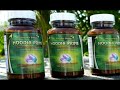 Crazy Diet Pill Experiment with Hoodia Prime (part 2) Crazy Diet Pill Experiment with Hoodia Prime (part 2)