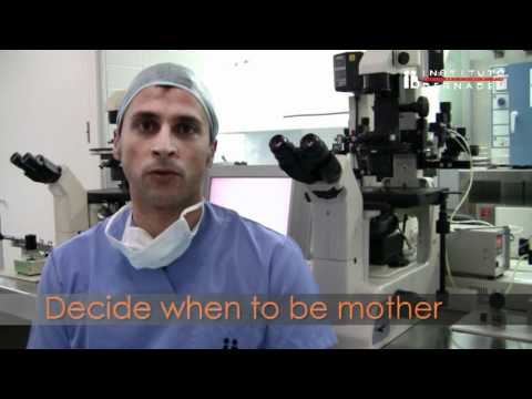 Delay motherhood, eggs vitrification