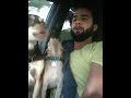 Dog choir