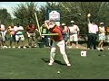 Luke Donald Driver SwingVision