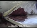 http://www.CTS-Decon-Training-Academy.com