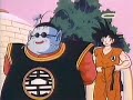 dragon ball z  audio latino  episodio 19