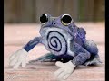 pokemon are real(FAKE GOD) pokemon are real(FAKE GOD)