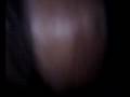 videos de sha2x hubog