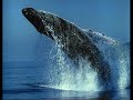 Medio Ambiente Horror Al Natural